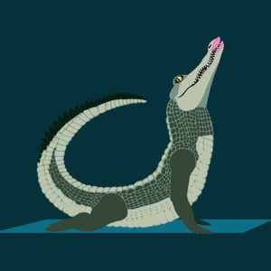 PKI126 Yoga Krokodil
